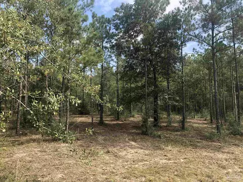 0000 Molino Bridge Rd, Pace, FL 32571 photo 22