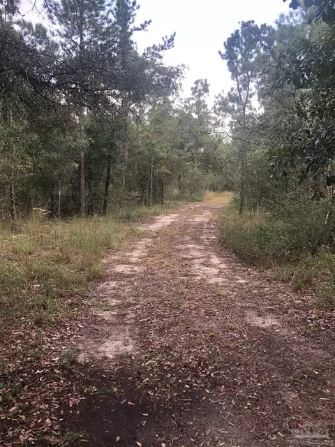 0000 Molino Bridge Rd, Pace, FL 32571 photo 2