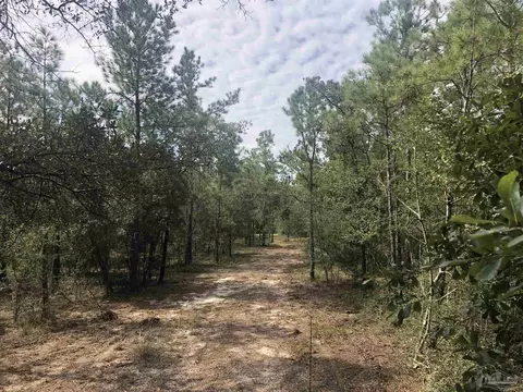 0000 Molino Bridge Rd, Pace, FL 32571 photo 11