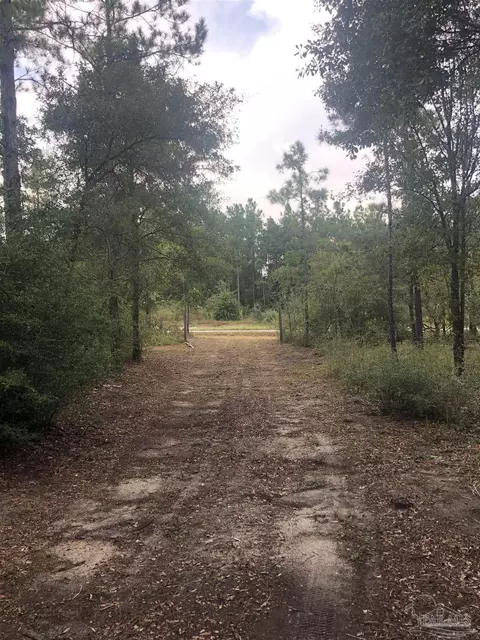 0000 Molino Bridge Rd, Pace, FL 32571 photo 29