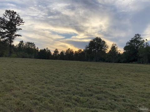 7960 Buffalo Ridge Rd, Pace, FL 32571 photo 1