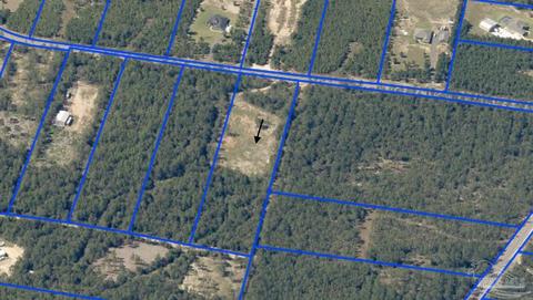 7960 Buffalo Ridge Rd, Pace, FL 32571 photo 4
