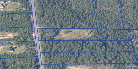 7960 Buffalo Ridge Rd, Pace, FL 32571 photo 5