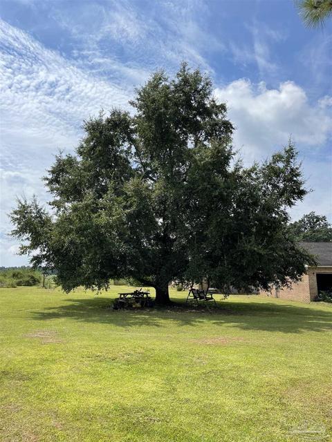 636 Phelps Rd, Milton, FL 32570 photo 28