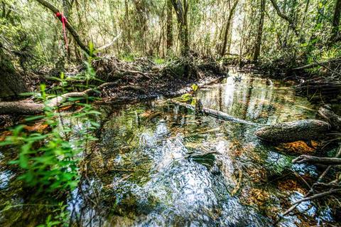 84 Buffalo Ridge Rd, Pace, FL 32571 photo 7