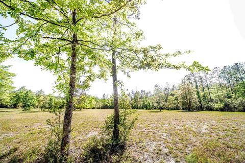 84 Buffalo Ridge Rd, Pace, FL 32571 photo 16