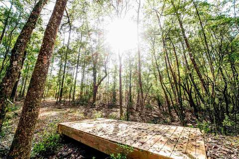84 Buffalo Ridge Rd, Pace, FL 32571 photo 32