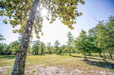 84 Buffalo Ridge Rd, Pace, FL 32571