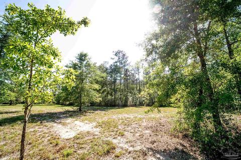 84 Buffalo Ridge Rd, Pace, FL 32571 photo 23