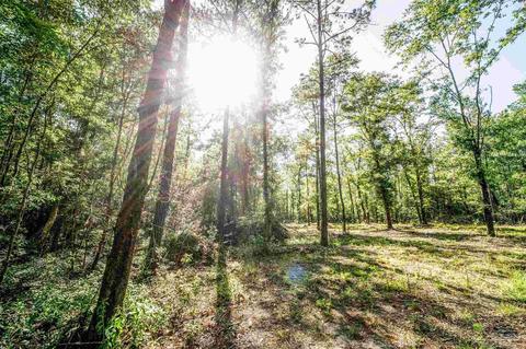 84 Buffalo Ridge Rd, Pace, FL 32571 photo 9