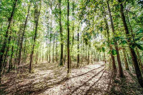 84 Buffalo Ridge Rd, Pace, FL 32571 photo 24