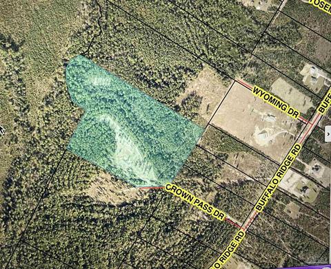 84 Buffalo Ridge Rd, Pace, FL 32571 photo 34