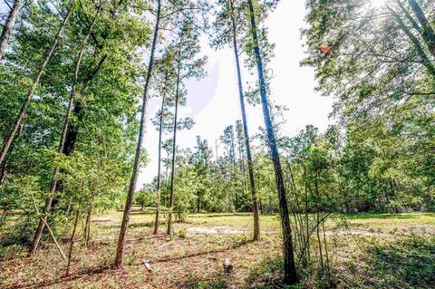 84 Buffalo Ridge Rd, Pace, FL 32571 photo 26