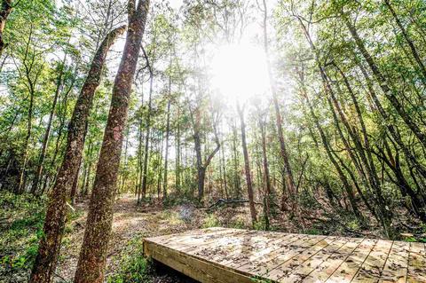 84 Buffalo Ridge Rd, Pace, FL 32571 photo 3