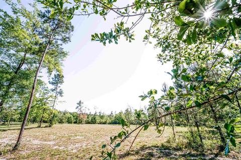 84 Buffalo Ridge Rd, Pace, FL 32571 photo 30