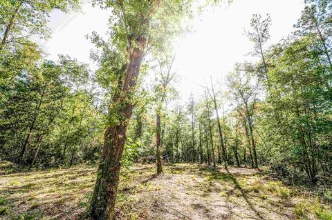 84 Buffalo Ridge Rd, Pace, FL 32571 photo 4