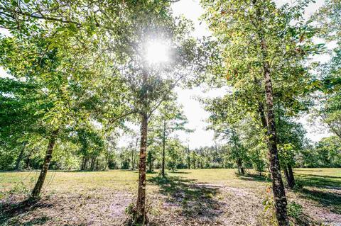 84 Buffalo Ridge Rd, Pace, FL 32571 photo 14