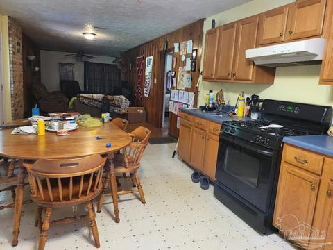 5871 Arthur Brown Rd, Mcdavid, FL 32568 photo 11