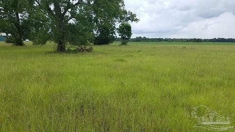 2463 Molino Bridge Rd, Pace, FL 32571 photo 6