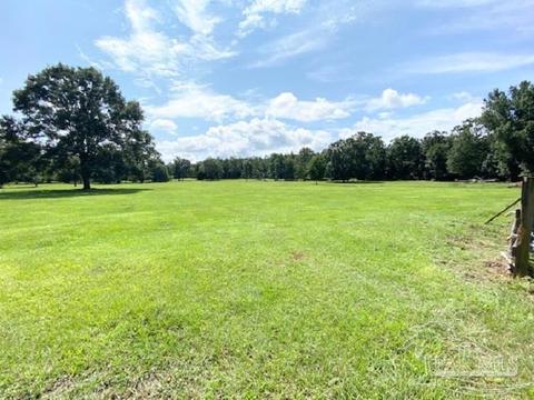 4322 Azel Scott Ln, Jay, FL 32565 photo 6