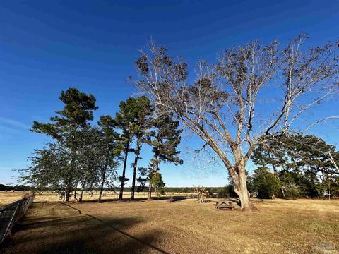 5816 Hall Rd, Jay, FL 32565 photo 48