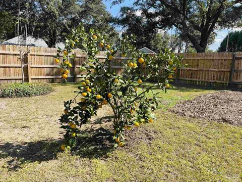 3548 Stratford Ln, Pace, FL 32571 photo 44