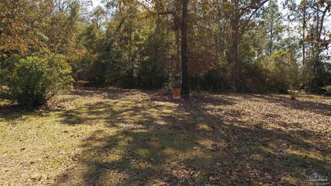 3111 Breastworks Rd, Mcdavid, FL 32568 photo 29