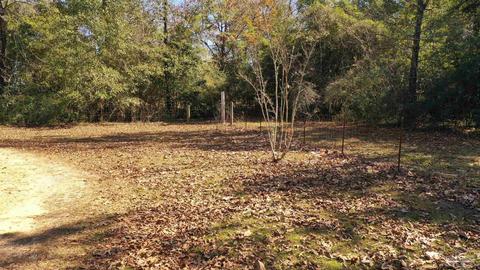 3111 Breastworks Rd, Mcdavid, FL 32568 photo 37