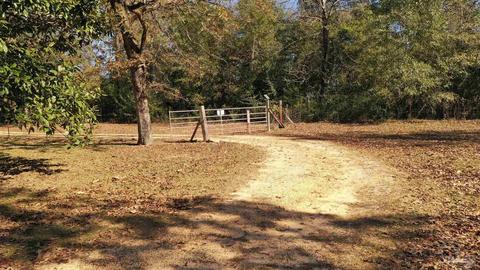 3111 Breastworks Rd, Mcdavid, FL 32568 photo 36