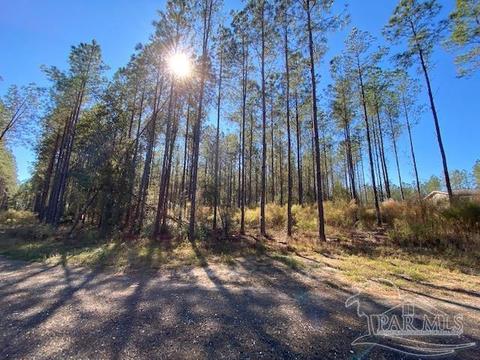 10305 Wiggins Grove Rd, Jay, FL 32565 photo 7