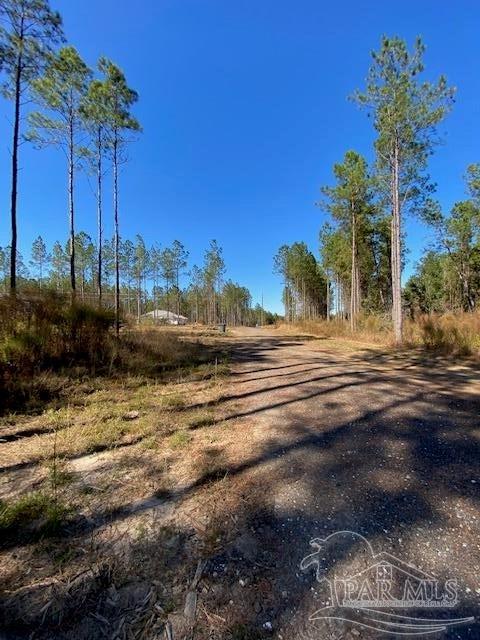 10305 Wiggins Grove Rd, Jay, FL 32565 photo 10