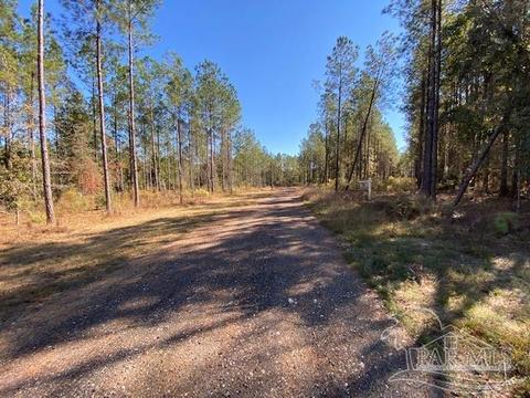 10305 Wiggins Grove Rd, Jay, FL 32565 photo 8