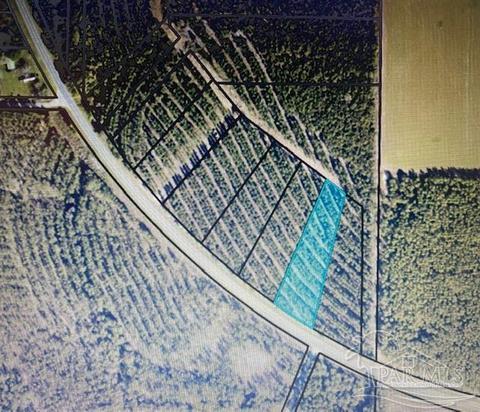 10305 Wiggins Grove Rd, Jay, FL 32565 photo 2