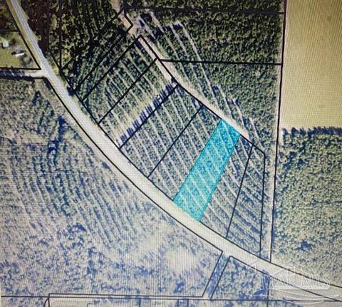 10319 Wiggins Grove Rd, Jay, FL 32565 photo 2