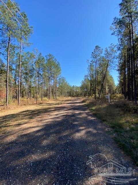 10319 Wiggins Grove Rd, Jay, FL 32565 photo 9