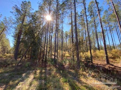 10319 Wiggins Grove Rd, Jay, FL 32565 photo 1