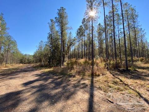 10319 Wiggins Grove Rd, Jay, FL 32565 photo 6