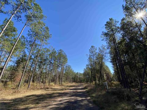 10319 Wiggins Grove Rd, Jay, FL 32565 photo 3