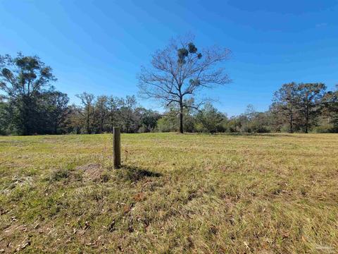 6565 Shady Hollow Dr, Pace, FL 32571 photo 22