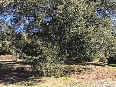 5474 Hollow Oak Ln, Pace, FL 32571 photo 1