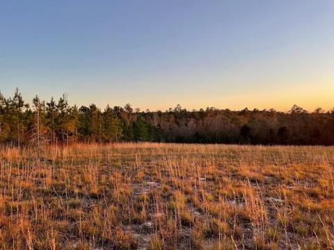 Teton Crest Dr, Pace, FL 32571