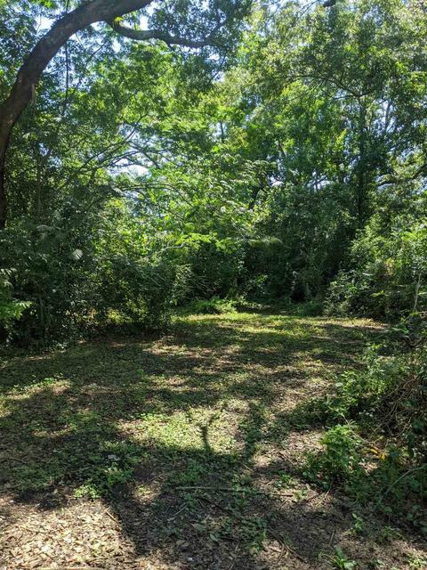 2512 N M St, Pensacola, FL 32501