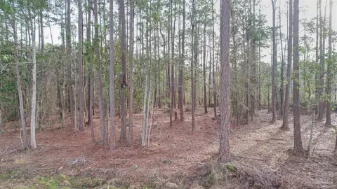 4533 Bayside Dr, Milton, FL 32583 photo 3