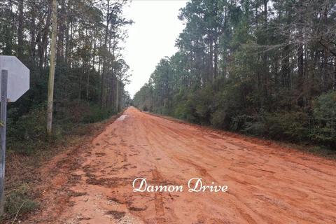 tbd Damon Dr, Milton, FL 32583 photo 21