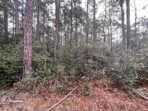 tbd Damon Dr, Milton, FL 32583 photo 1