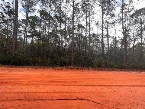 tbd Damon Dr, Milton, FL 32583 photo 3