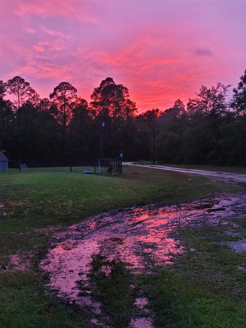 3510 Robinson Point Rd, Milton, FL 32583 photo 44