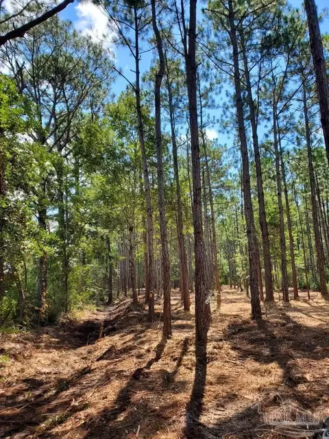 0 Garcon Point Rd, Milton, FL 32583