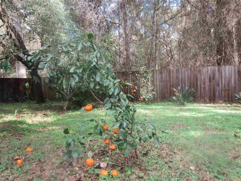 5064 Potomac Dr, Pace, FL 32571 photo 3