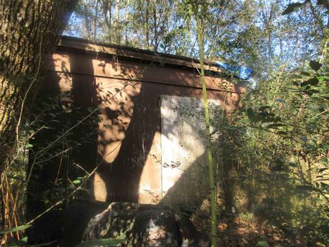 6041 Nutmeg Ave, Pace, FL 32571 photo 3